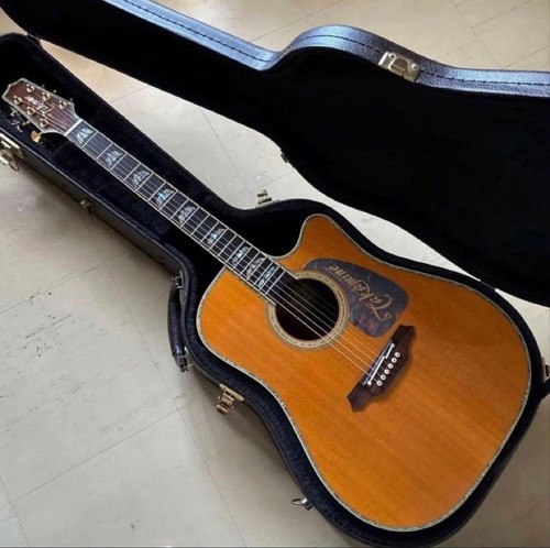 Takamine dsp200 acoustic - dsp200,