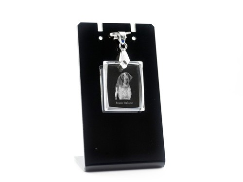 Bracco italiano pendentif en - -,