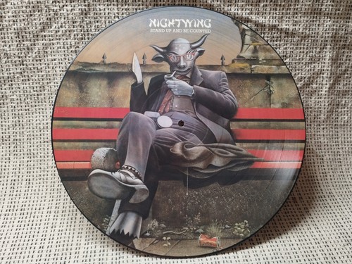 Nightwing picture disc - picture,