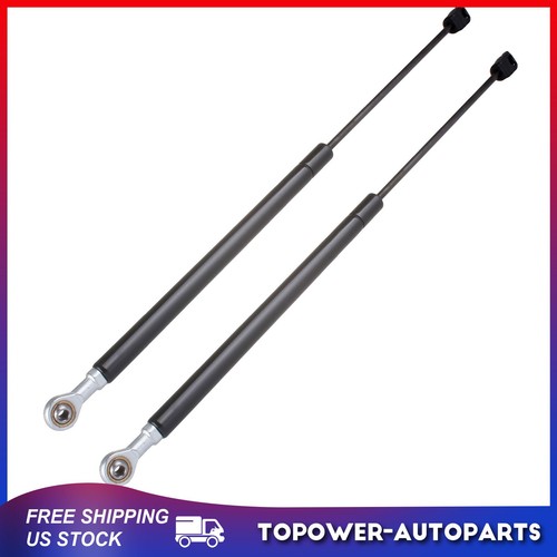 Rear window lift supports - rear,