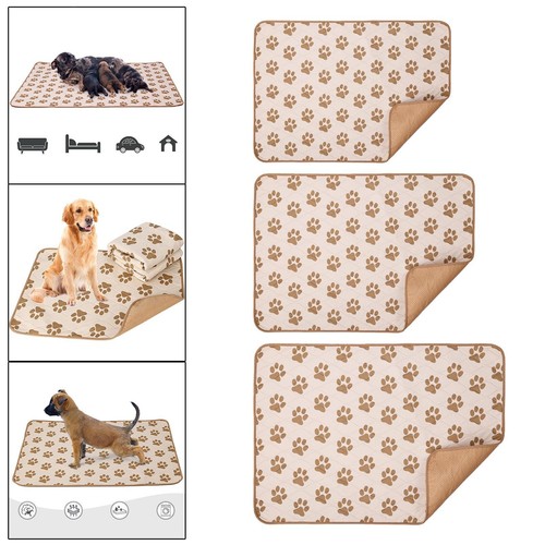Couches dressage chien - dressage, de