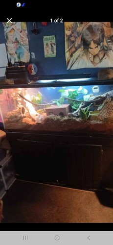 X12 x19 terrarium with - 48''x12"x19",