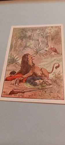 Chromo chasse lion - chasse,