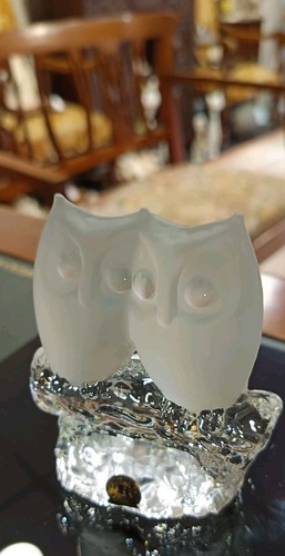 Couple hiboux chouettes