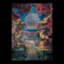  Displate Limited Edition -