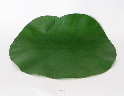 Lotus nenuphar sous assiette - lotus,