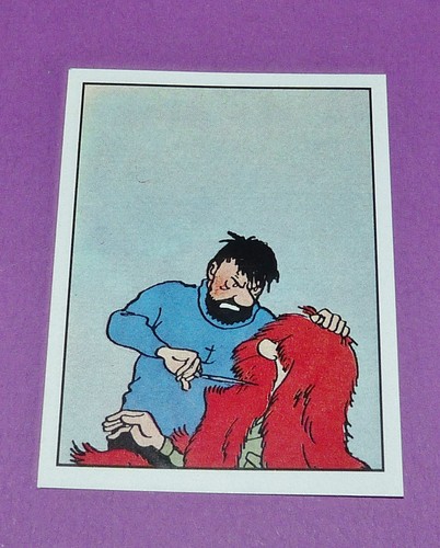 207 panini tintin herge - n°207,