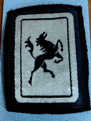Insigne tissu division - tissu,