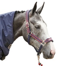 Whitaker - Licol et longe