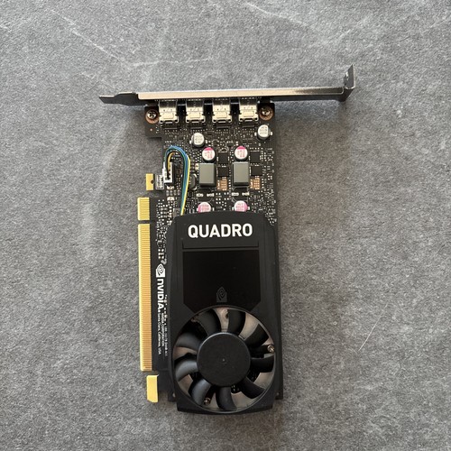 Nvidia quadro p1000 - nvidia, high