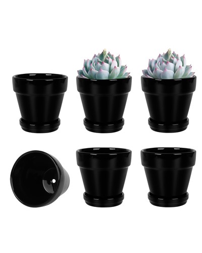 Lot petits pots de - 6,