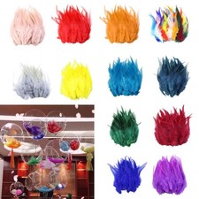 50 Pièces De Plumes  De