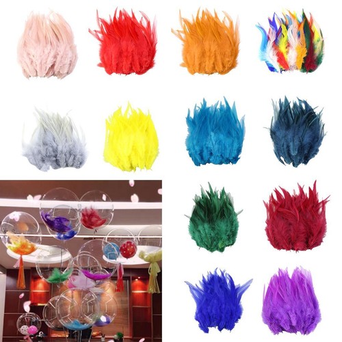 Pièces plumes de - de,