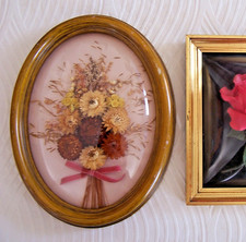 Cadre Ovale Bouquet Composition de Fleurs Séchées sous Plastique Bombé