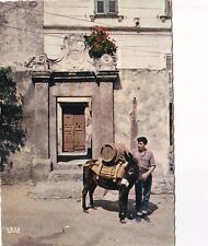 Carte postale postcard 10x15cm NONZA CAP CORSE porteur d'eau âne timbrée