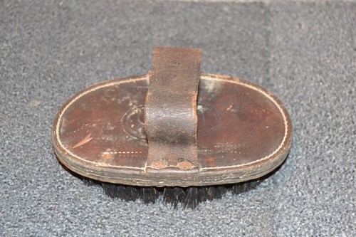 Brosse cuir chevaux - à,
