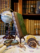 Salammbô, Gustave Flaubert