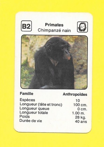 Carte primates - carte, n°b2
