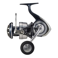 Moulinet tournant Daiwa 21