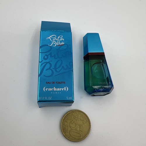 Miniature loulou blue - miniature,