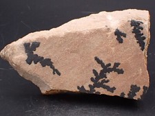 Dendrites géantes sur Grès Utah , Etats-Unis