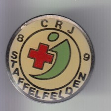 RARE PINS PIN'S .. ONG