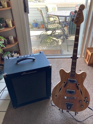 Used musical instruments for - used,