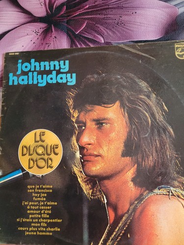 Tours johnny hallyday - 33,