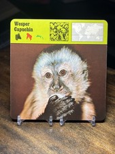 Wesper Capuchin, 1979 Editions