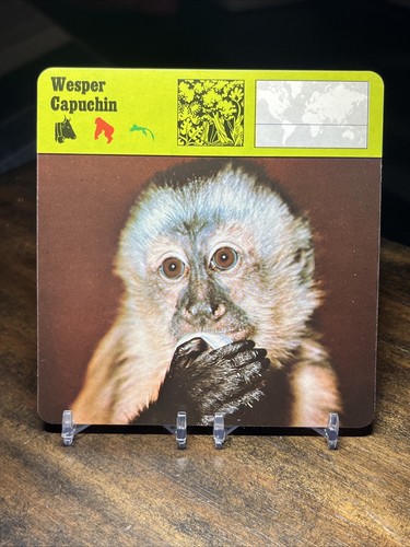 Wesper capuchin 1979 editions - wesper, capuchin,