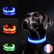 Collier lumineux pour chien  - LED- Bleu Vert Rouge, 40-48 cm