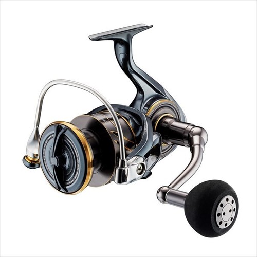 Daiwa caldia 8000p - caldia,