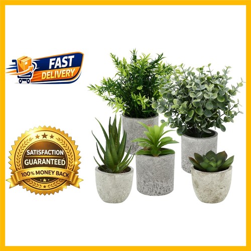 Plantes artificielles - plantes,