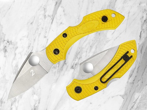 Spyderco dragonfly salt - spyderco, 2