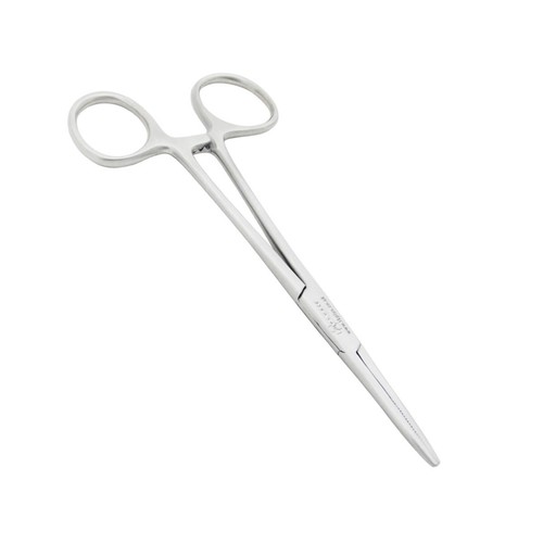 Animal toilettage oreille - animal,
