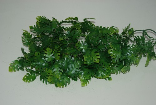 Vivarium réaliste plastique - vivarium,