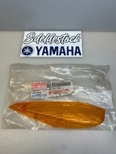 1 cabochon clignotant avant