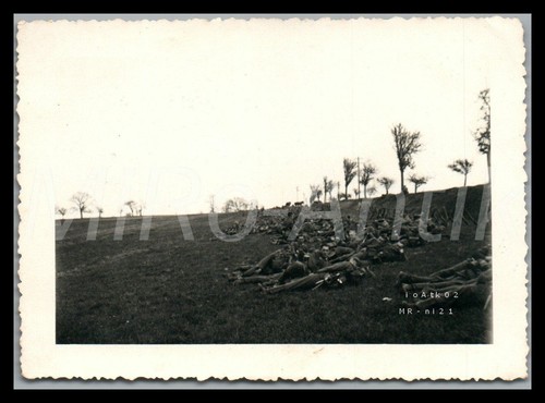Photo ww2 342 france - ww2,,