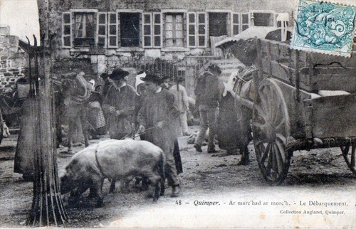Cpa quimper marc had - 29, ar