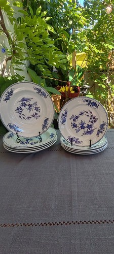 Assiettes villeroy boch - assiettes,