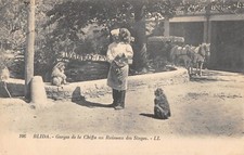 CPA ALGERIE BLIDA GORGES DE LA