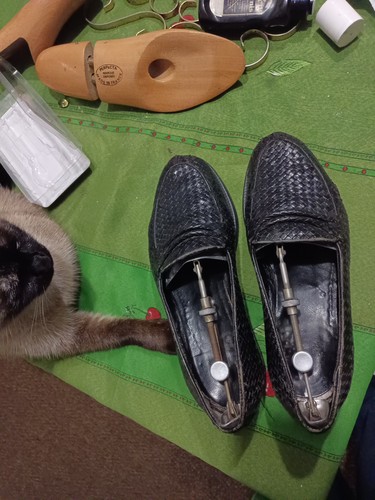 Mocassins homme stéphane - homme,