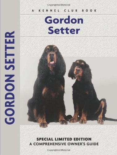 Gordon setter comprehensive - gordon,