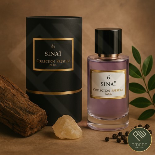 Sinaï collection - n°6,