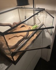 Terrarium + équipements /