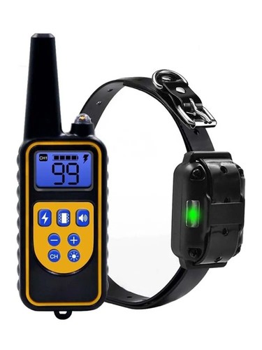 Collier dressage chien - de,