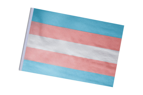 Petit drapeau fierté - de, la
