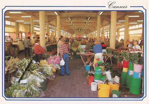 Carte postale 10x15cm postcard