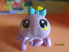 Petshop Araignée #1031