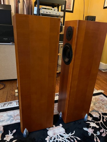 Totem speakers - totem,